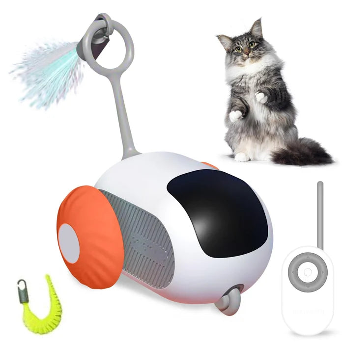 Jouet interactif pour chat : Amusement intelligent et captivant