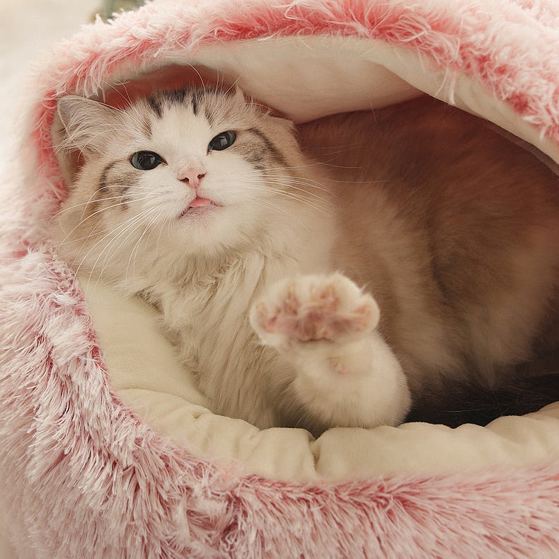 Lit pour animaux de compagnie: Confort et Sérénité