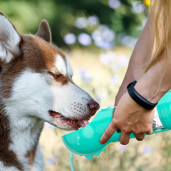 Bouteille 4-en-1 pour hydrater et nourrir votre chien