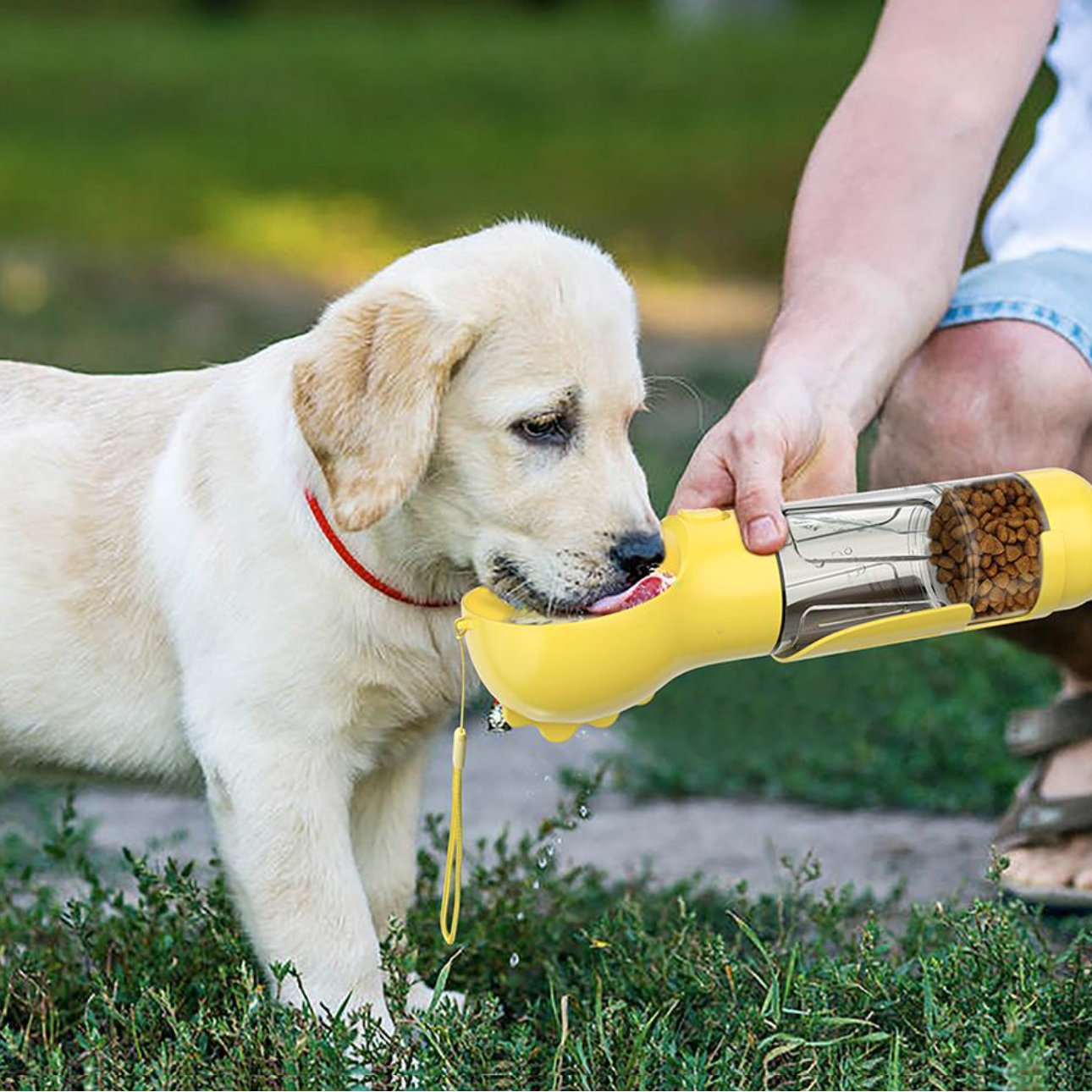 Bouteille 4-en-1 pour hydrater et nourrir votre chien